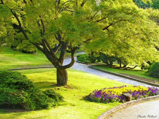 40586 (a): :1600x1200